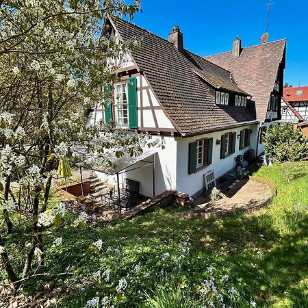 Ferienwohnung Am Keschtebaum, 70Qm Sasbachwalden Εξωτερικό φωτογραφία