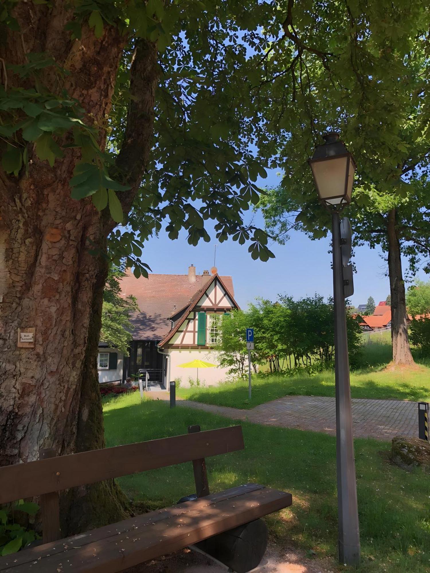 Ferienwohnung Am Keschtebaum, 70Qm Sasbachwalden Εξωτερικό φωτογραφία