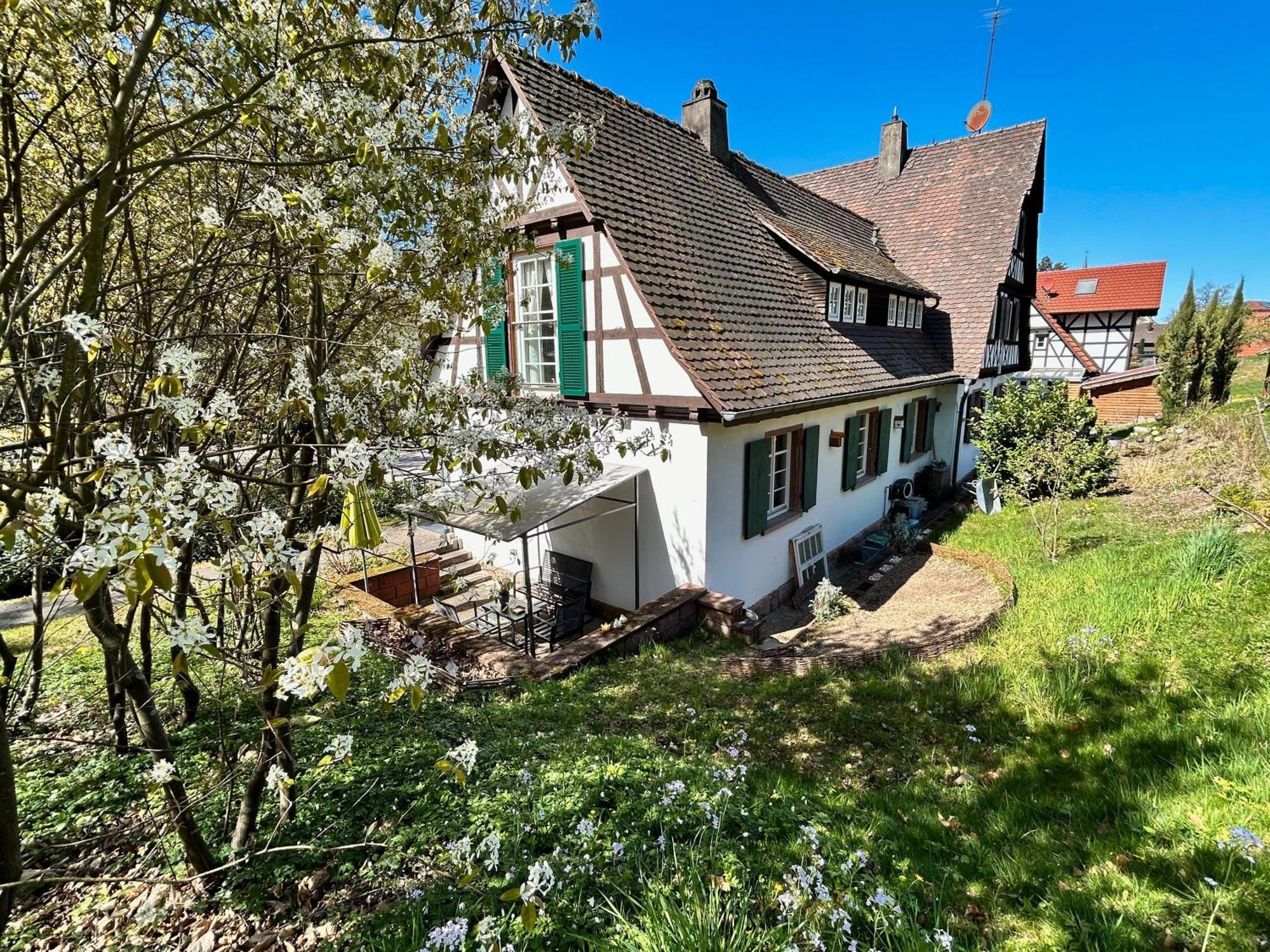 Ferienwohnung Am Keschtebaum, 70Qm Sasbachwalden Εξωτερικό φωτογραφία